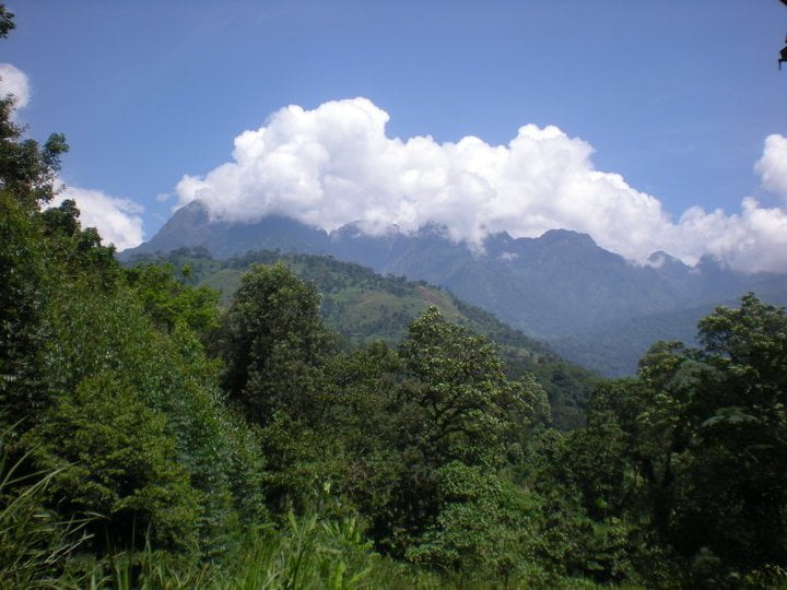 The Ruwenzori Mountains in Uganda - The Source of the Nile