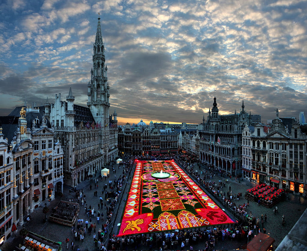 Brussels Flower Carpet