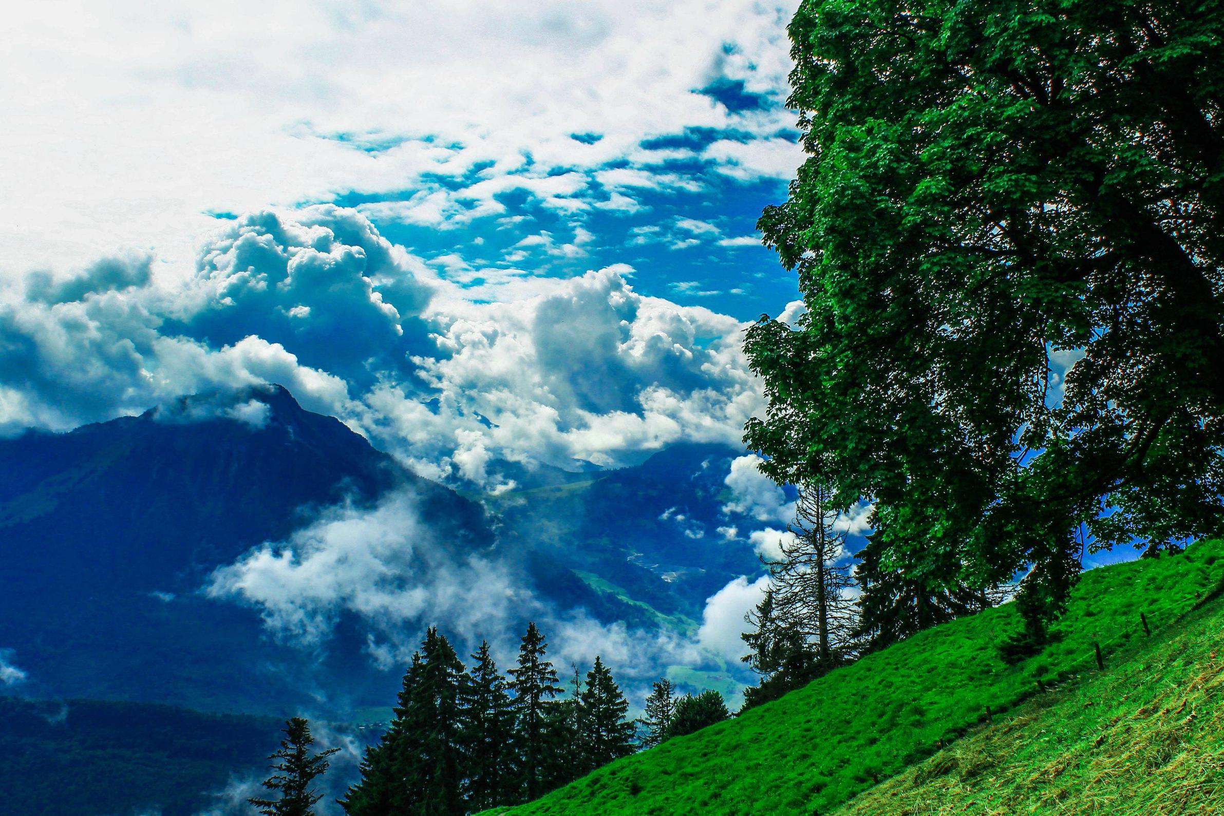 View from the cog-wheel train down Mt.Pilatus, Switzerland