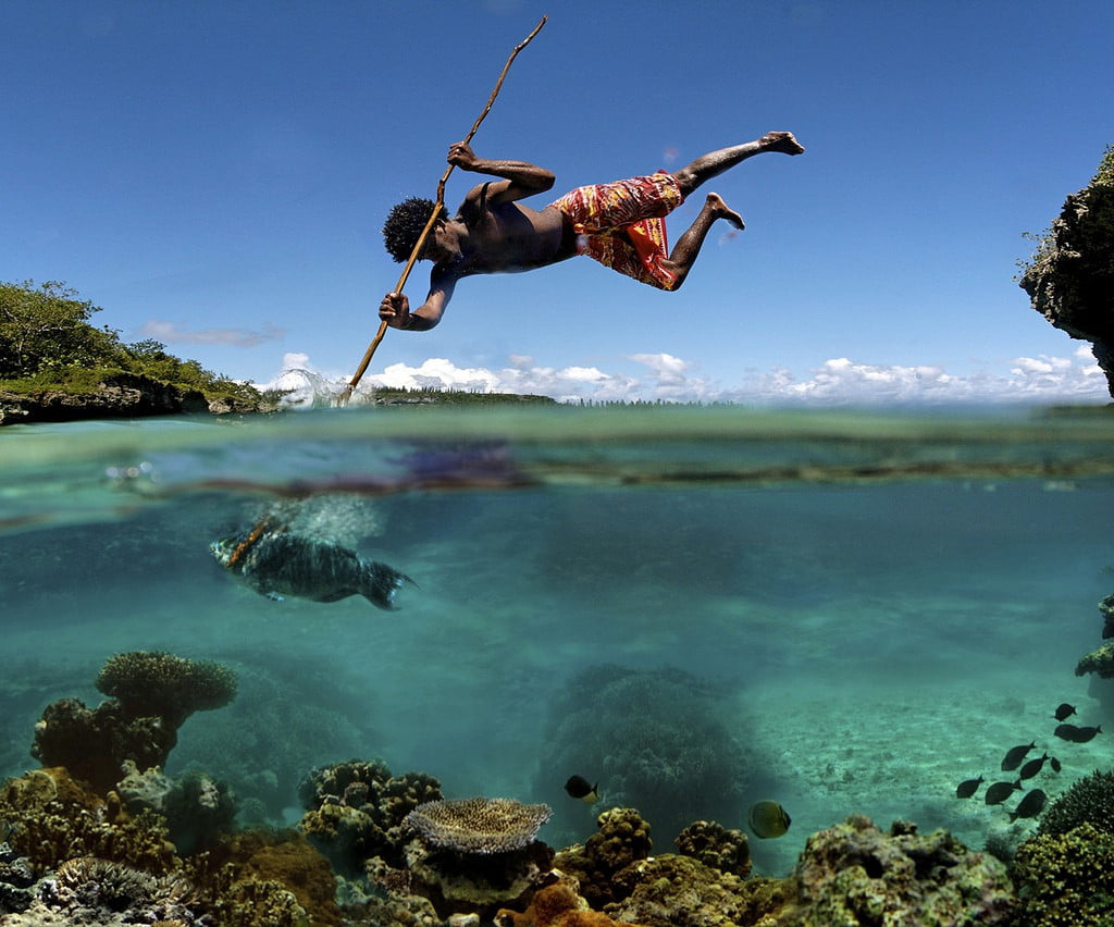 Spear Fishing