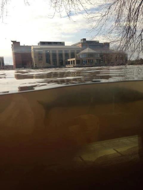 Seen through a flooded office window in Grand Rapids Michegan