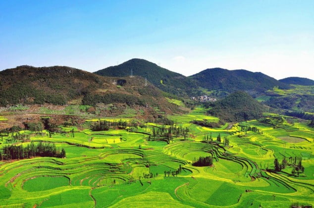 Luoping, China by Rosanna Leung