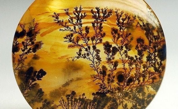 Dendritic Moss Agate