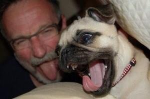 Robin Williams with his pug