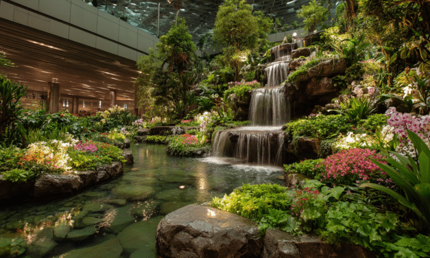 When You Can’t Leave: Designing for the Flight Reflex in Airports, Venues, and Hospitals