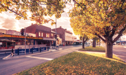 When a town becomes the Shock Absorber