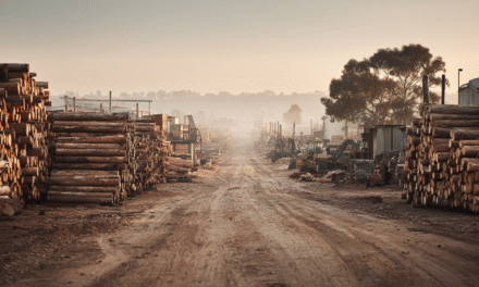 The Myth of Blame: Why AKD’s Closure Wasn’t Caused by the Native Timber Ban – 1